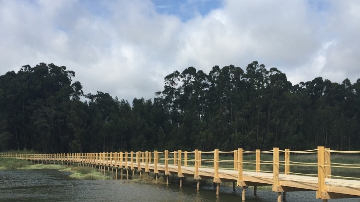 passadiços da ria de aveiro
